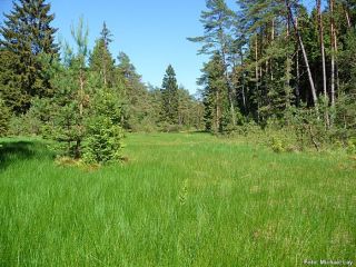 2 NSG Diebskeller - Landgrafenborn